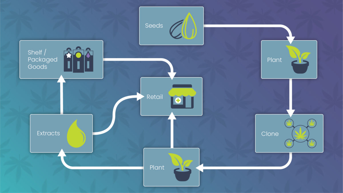 Wild Fires, Freak Snow Storms & More – Mother Nature’s Impact on Cannabis Businesses and the Wholesale Supply Chain