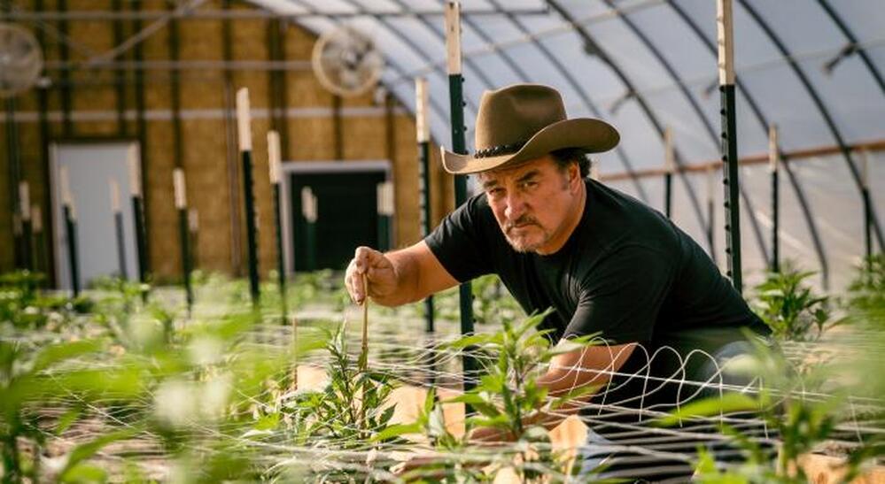 Belushi’s Farm – Yep, that “Belushi” is Not Only an Actor, Activist, Singer & Dancer, but Also an Amazing Cannabis Grower