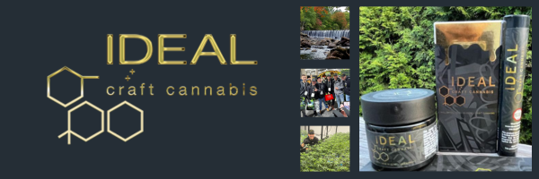 Ideal Craft Cannabis – Crafting Award-Winning, Small-Batch Flower for Massachusetts Connoisseurs